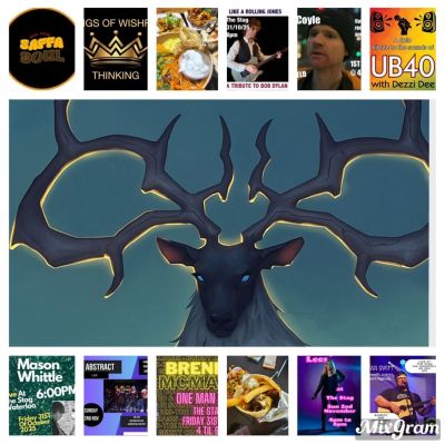 stagfest at the stag pub